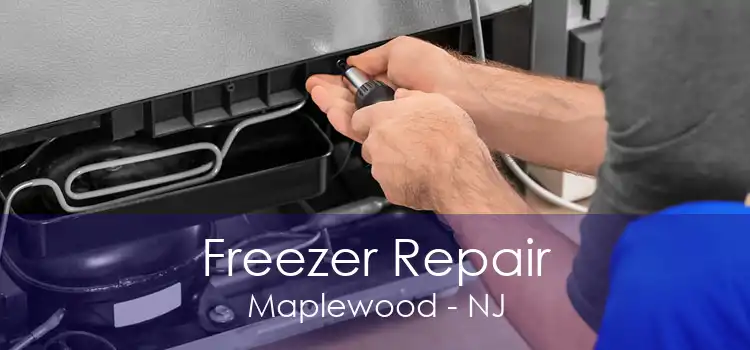 Freezer Repair Maplewood - NJ