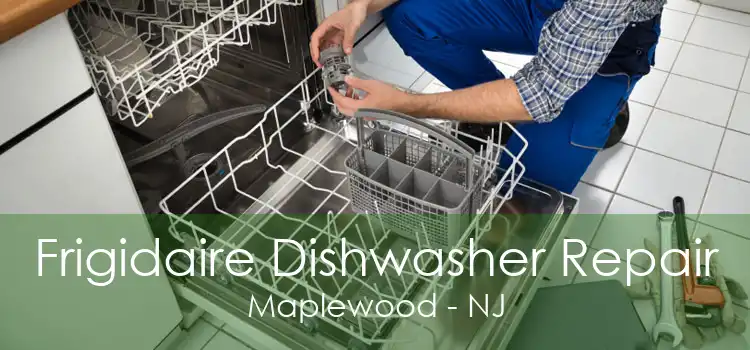 Frigidaire Dishwasher Repair Maplewood - NJ