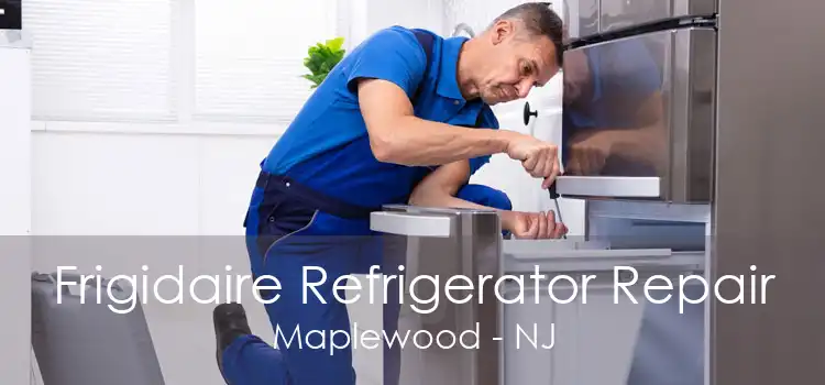 Frigidaire Refrigerator Repair Maplewood - NJ