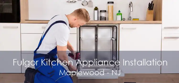 Fulgor Kitchen Appliance Installation Maplewood - NJ