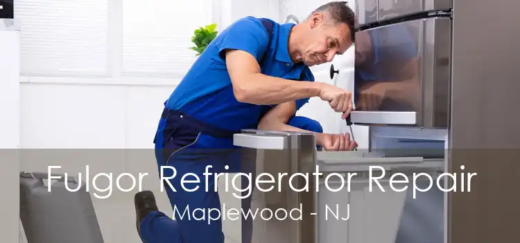 Fulgor Refrigerator Repair Maplewood - NJ