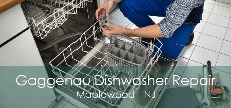 Gaggenau Dishwasher Repair Maplewood - NJ
