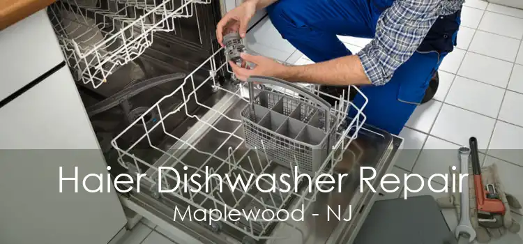 Haier Dishwasher Repair Maplewood - NJ