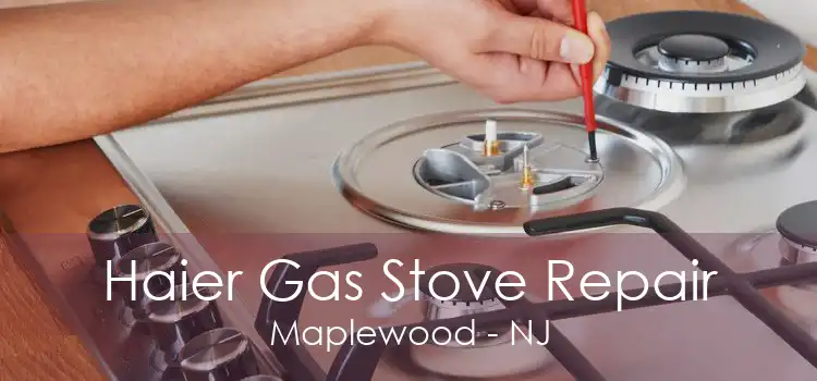 Haier Gas Stove Repair Maplewood - NJ