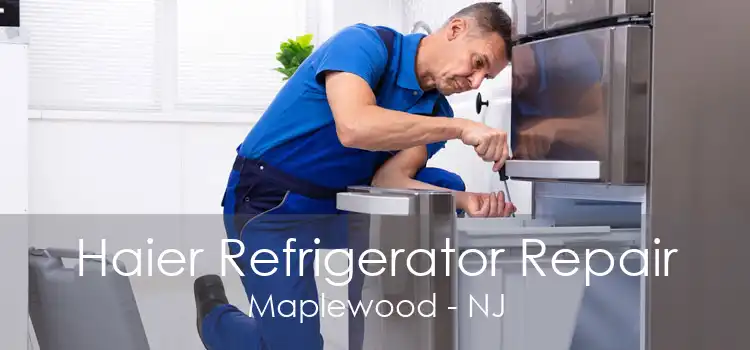 Haier Refrigerator Repair Maplewood - NJ