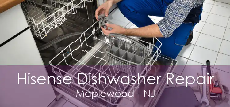 Hisense Dishwasher Repair Maplewood - NJ