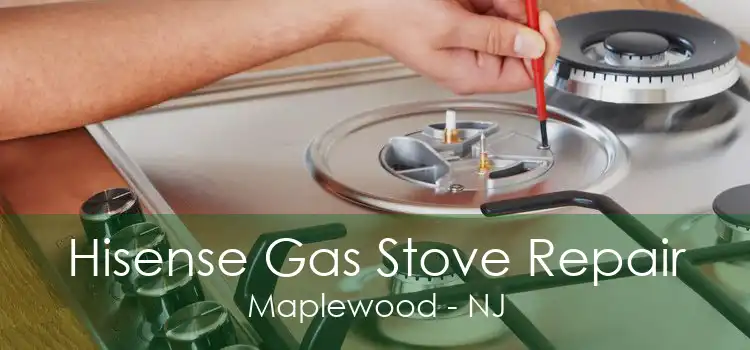 Hisense Gas Stove Repair Maplewood - NJ