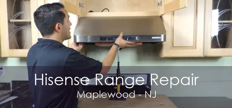 Hisense Range Repair Maplewood - NJ