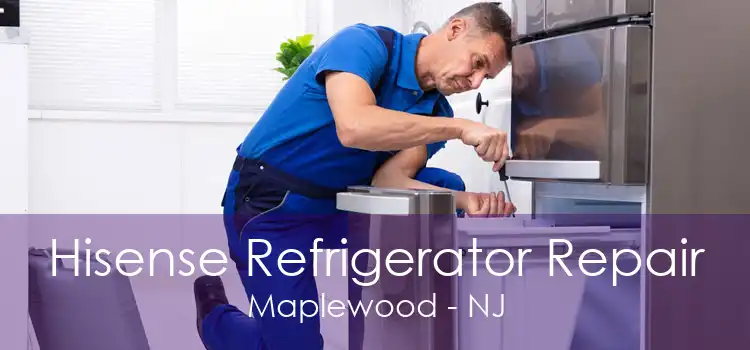 Hisense Refrigerator Repair Maplewood - NJ