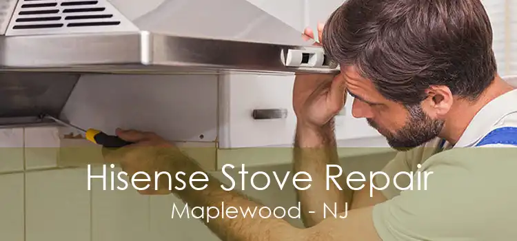 Hisense Stove Repair Maplewood - NJ