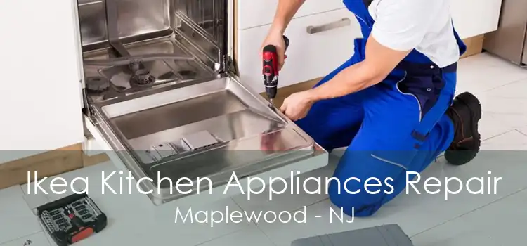Ikea Kitchen Appliances Repair Maplewood - NJ
