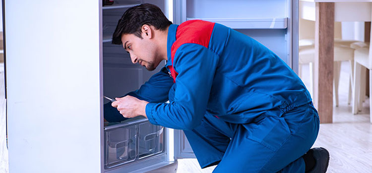 Freezer Repair Services in Maplewood, New Jersey