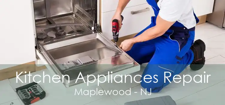 Kitchen Appliances Repair Maplewood - NJ