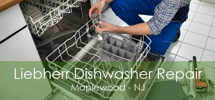 Liebherr Dishwasher Repair Maplewood - NJ