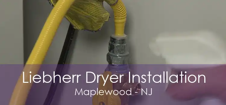 Liebherr Dryer Installation Maplewood - NJ