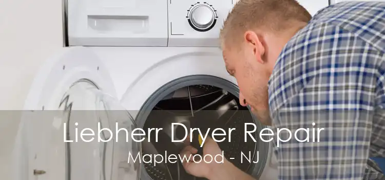 Liebherr Dryer Repair Maplewood - NJ