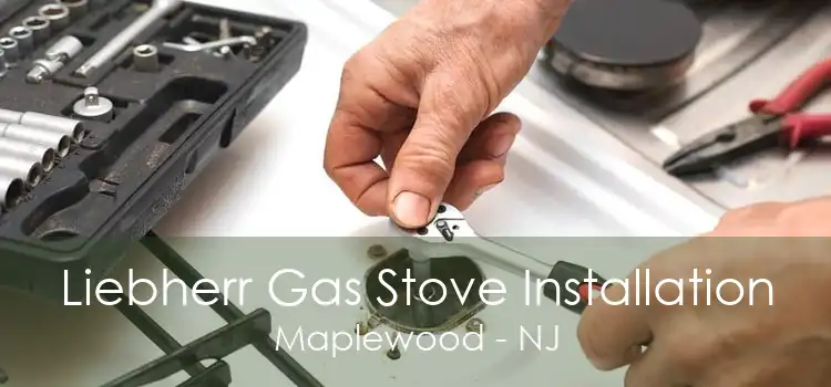 Liebherr Gas Stove Installation Maplewood - NJ