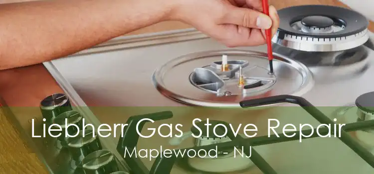 Liebherr Gas Stove Repair Maplewood - NJ