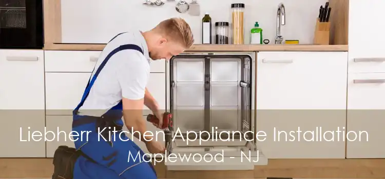 Liebherr Kitchen Appliance Installation Maplewood - NJ