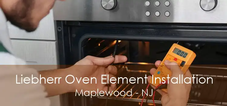 Liebherr Oven Element Installation Maplewood - NJ