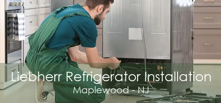 Liebherr Refrigerator Installation Maplewood - NJ