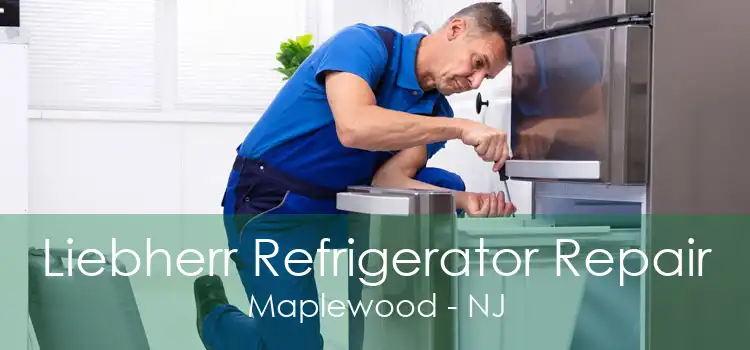 Liebherr Refrigerator Repair Maplewood - NJ