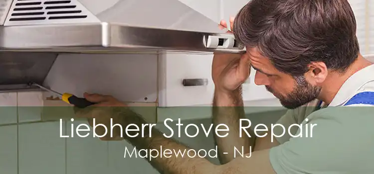 Liebherr Stove Repair Maplewood - NJ