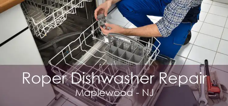 Roper Dishwasher Repair Maplewood - NJ