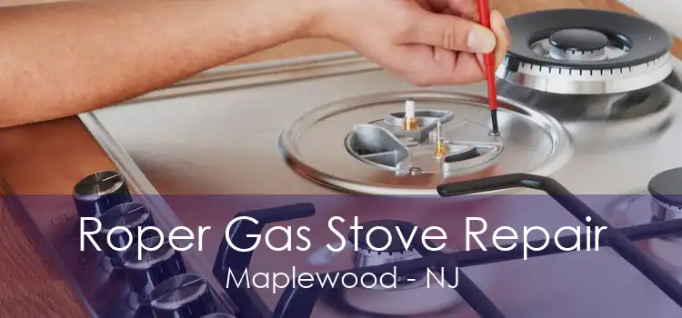 Roper Gas Stove Repair Maplewood - NJ