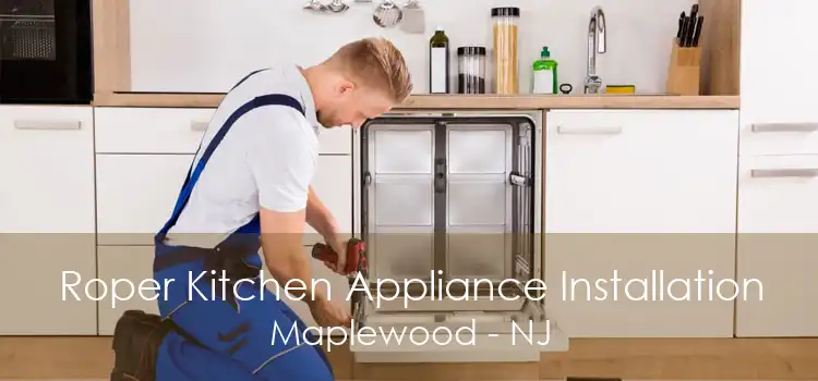 Roper Kitchen Appliance Installation Maplewood - NJ