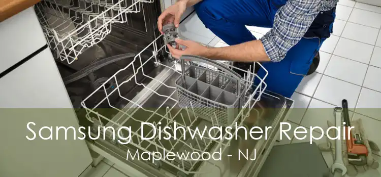 Samsung Dishwasher Repair Maplewood - NJ