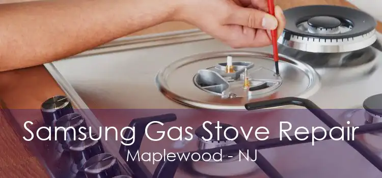 Samsung Gas Stove Repair Maplewood - NJ