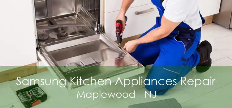 Samsung Kitchen Appliances Repair Maplewood - NJ