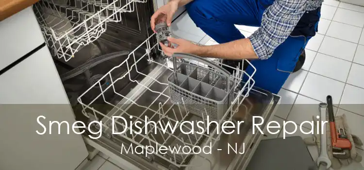 Smeg Dishwasher Repair Maplewood - NJ