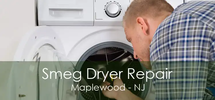 Smeg Dryer Repair Maplewood - NJ