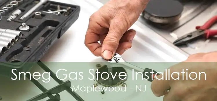 Smeg Gas Stove Installation Maplewood - NJ