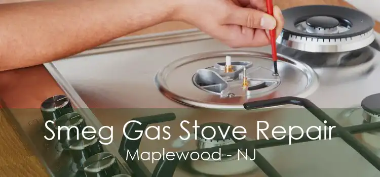 Smeg Gas Stove Repair Maplewood - NJ