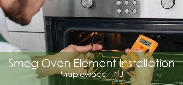 Smeg Oven Element Installation Maplewood - NJ