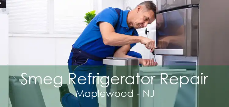 Smeg Refrigerator Repair Maplewood - NJ