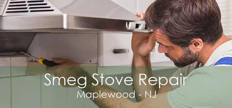 Smeg Stove Repair Maplewood - NJ