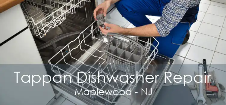 Tappan Dishwasher Repair Maplewood - NJ