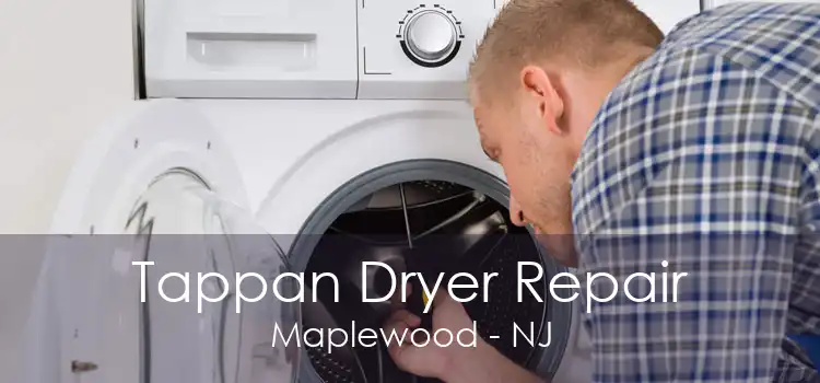 Tappan Dryer Repair Maplewood - NJ