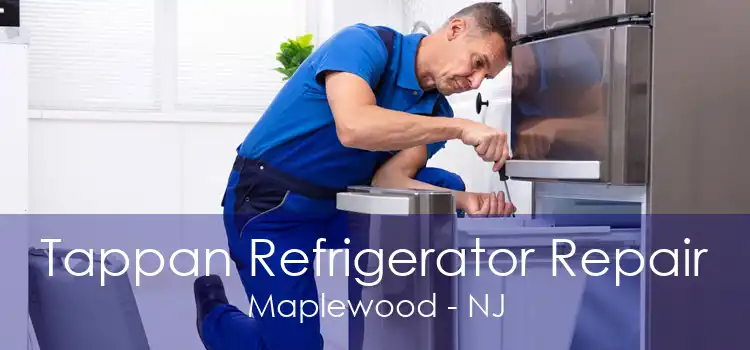 Tappan Refrigerator Repair Maplewood - NJ