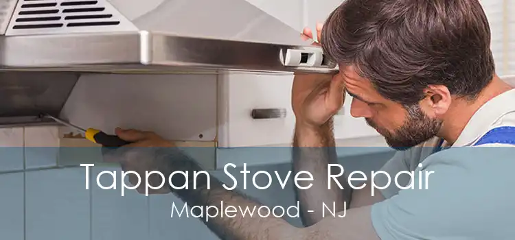 Tappan Stove Repair Maplewood - NJ