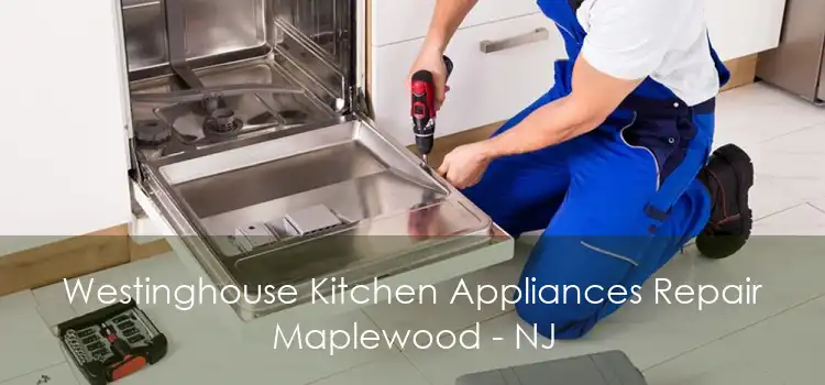 Westinghouse Kitchen Appliances Repair Maplewood - NJ